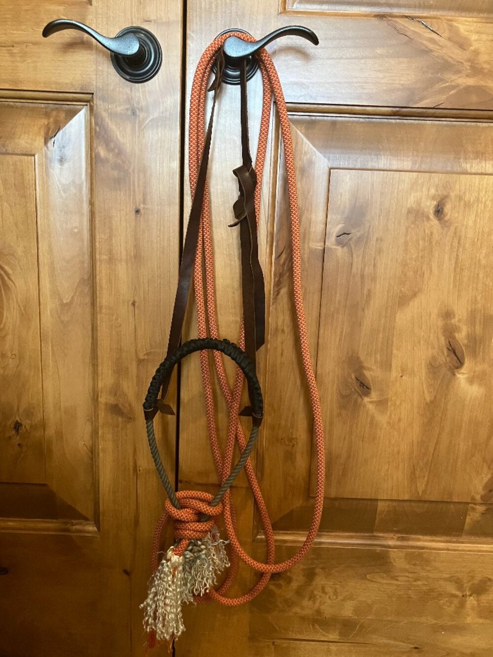 Orange Loping Hackamore With Loop Reins